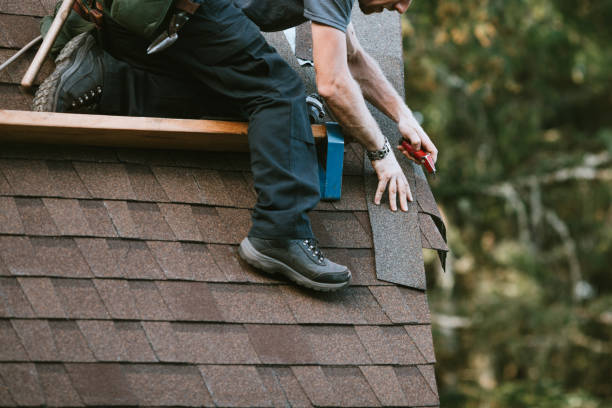 Gutter Installation and Roofing in Lake Park, IA